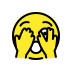 1FAE3